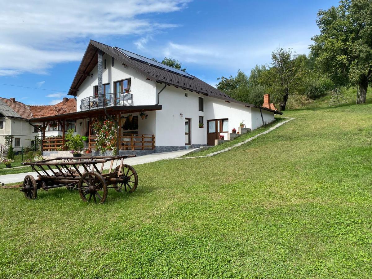 Casa Alex Hotel Curtea de Argeş Buitenkant foto