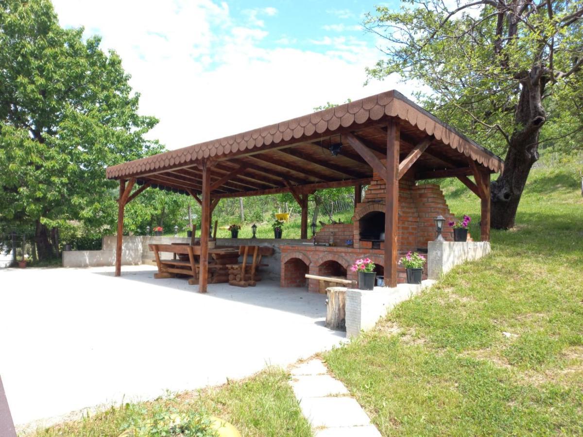 Casa Alex Hotel Curtea de Argeş Buitenkant foto