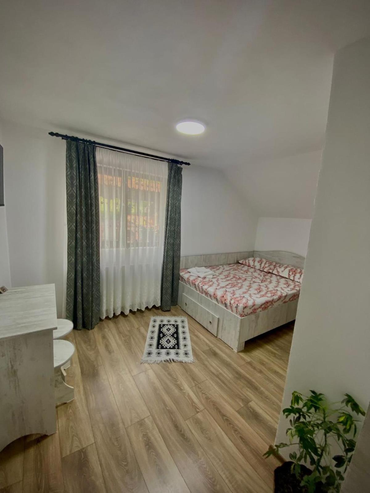 Casa Alex Hotel Curtea de Argeş Buitenkant foto