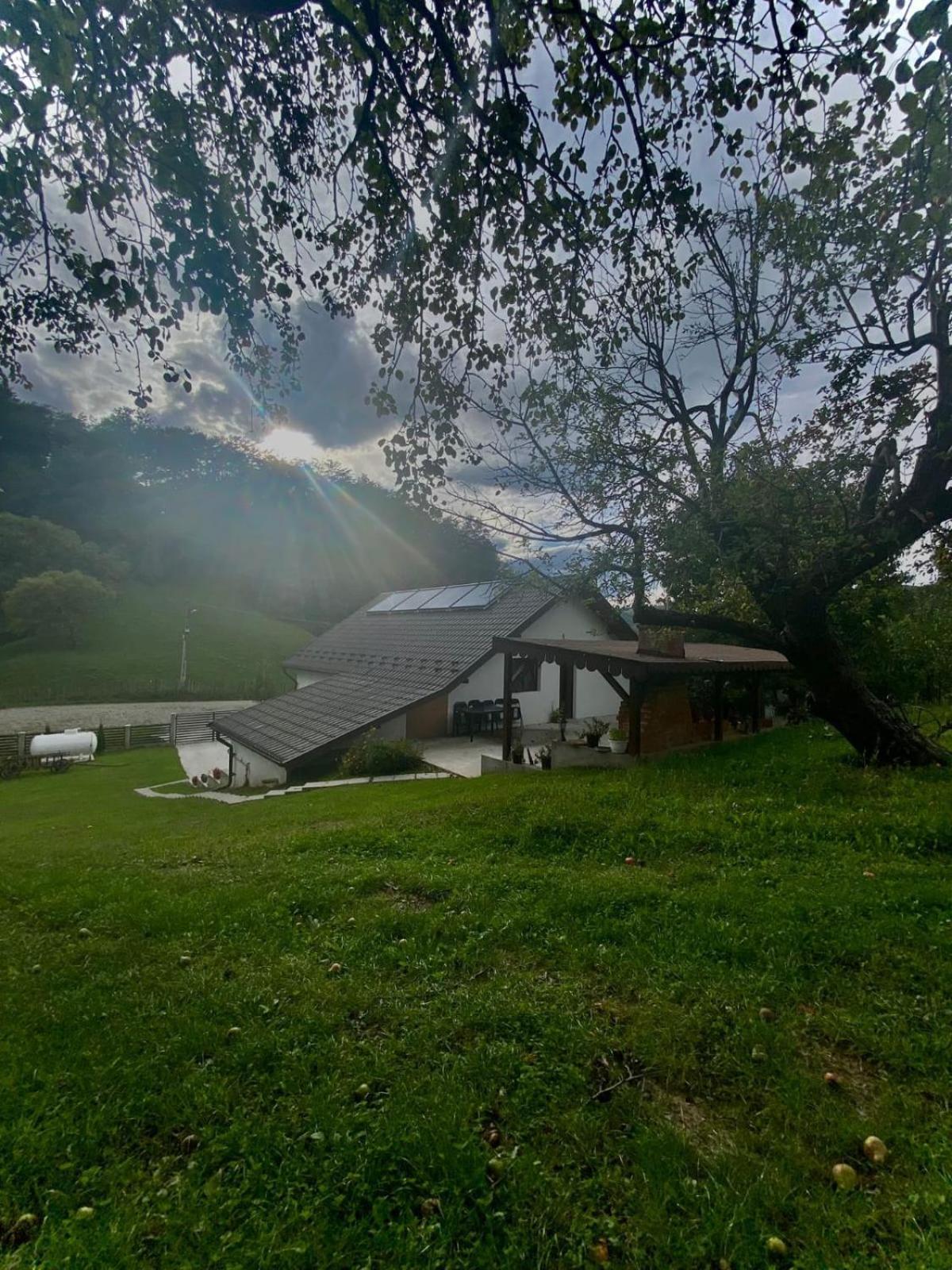 Casa Alex Hotel Curtea de Argeş Buitenkant foto